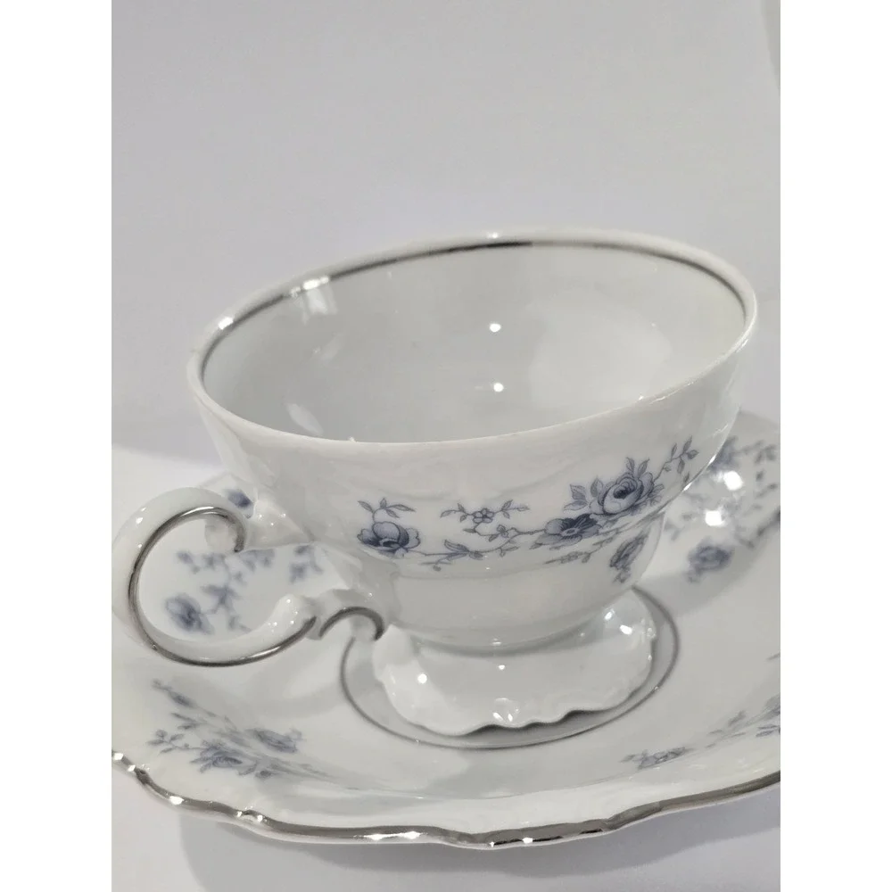 Johann Haviland Blue Garland Tea Cup & Saucer Bavaria Germany Vintage